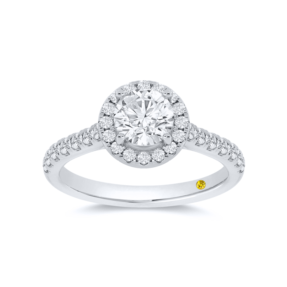 Lab Created Halo Diamond Engagement Ring | Teri